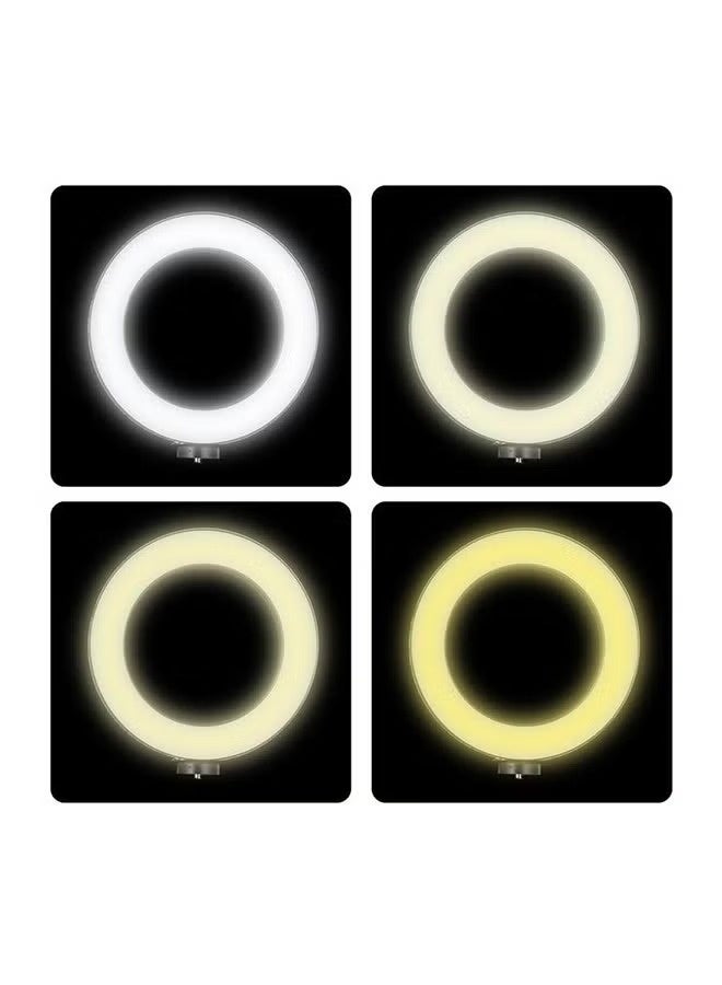 مصباح حلقي LED للتصوير الفوتوغرافي مع حامل ثلاثي القوائم أسود/ أبيض - Image 4